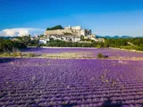 Château de Grignan