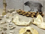 Site archéologique de Soyons Grottes et musée