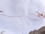 Drôme Aventure