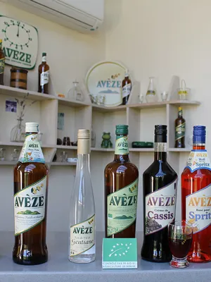 ESPACE AVEZE