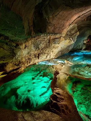 Grotte de la Cocalière