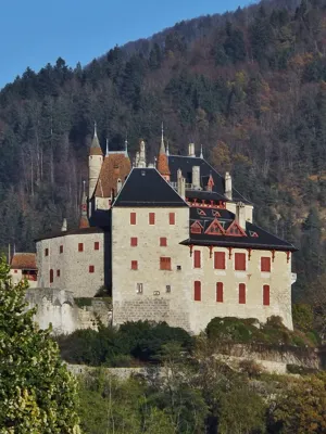 Le Château de Menthon Saint Bernard