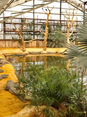 La Ferme aux Crocodiles - Réserve Tropicale
