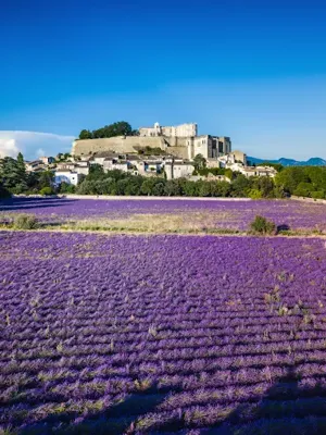 Château de Grignan